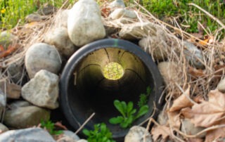 French Drain
